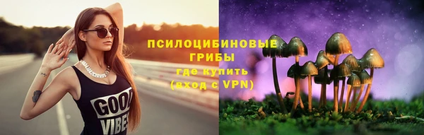 гидропоника Краснослободск