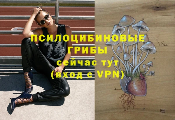 ALPHA-PVP Красноперекопск