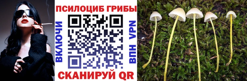 Псилоцибиновые грибы мухоморы  Купить  Арск 